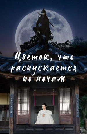 Дорама Ночной цветок онлайн